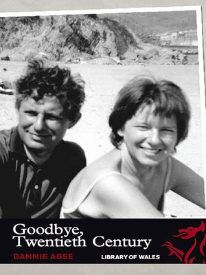 cover image of Goodbye Twentieth Century